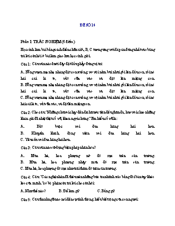 Đề thi học kì 1 Tiếng Việt Lớp 3 - Đề số 14