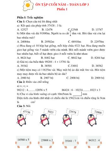 Đề ôn tập cuối năm môn Toán Lớp 3 - Phiếu 1