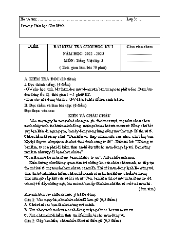 Bài kiểm tra cuối học kỳ II môn Tiếng Việt Lớp 3 - Năm học 2022-2023 - Trường Tiểu học Chu Minh (Có đáp án)
