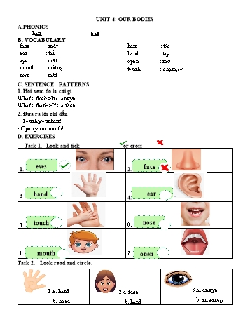 Đề ôn tập môn Tiếng Anh Lớp 3 - Unit 4: Our bodies