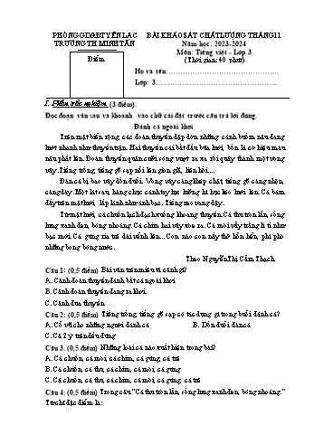 Bài khảo sát chất lượng tháng 11 môn Tiếng Việt Lớp 3 - Năm học 2023-2024 - Trường Tiểu học Minh Tân