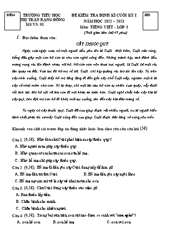 Đề kiểm tra định kì cuối kỳ I môn Tiếng Việt Lớp 3 - Năm học 2022-2023 - Trường Tiểu học Thị trấn Rạng Đông